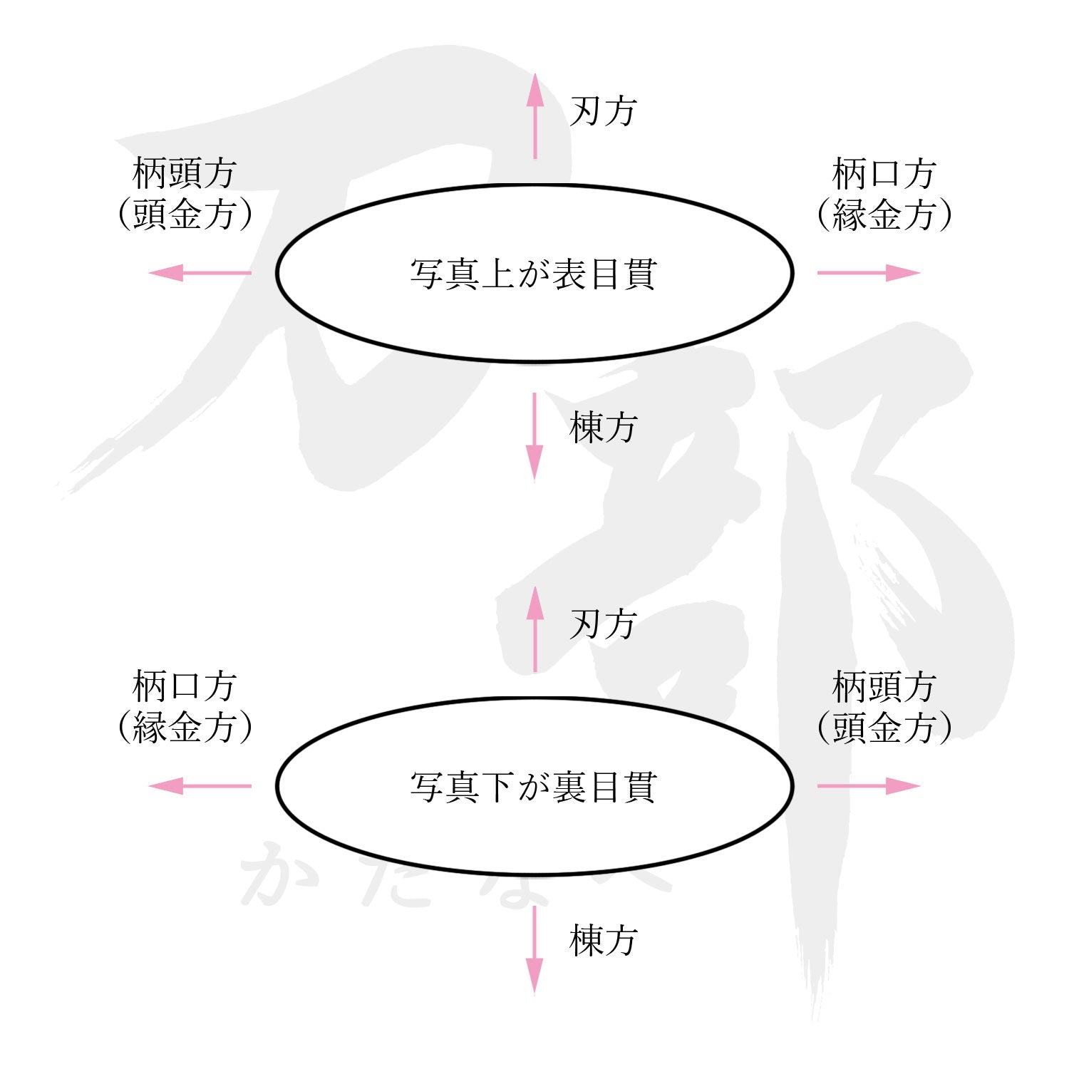 銀地 菊唐草図目貫｜現代物金具の販売 刀部 かたなべ – 刀部